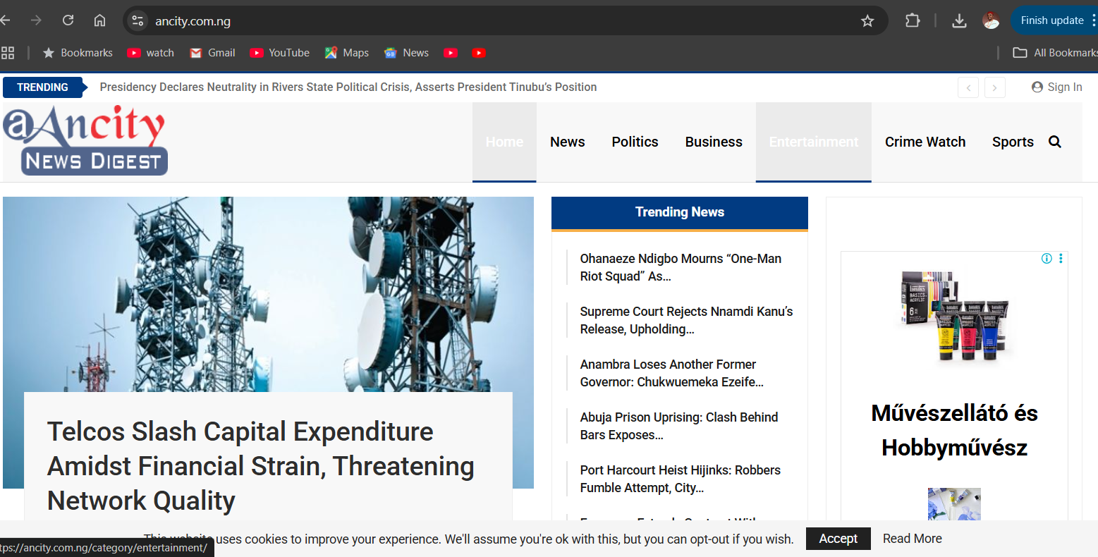 Company Website